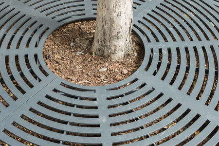 city tree stem protected by round shape metallic frameの写真素材