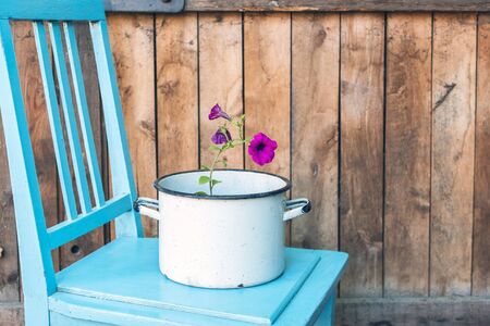 small pink flower grows in vintage saucepan in country area