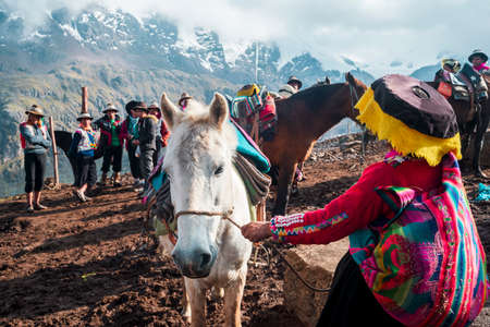 VINICUNCA, PERU- OCTOBER 29: female guide in traditional wear holds white mule at high altitude grounds in Vinicunca, Peru on October 29, 2018のeditorial素材