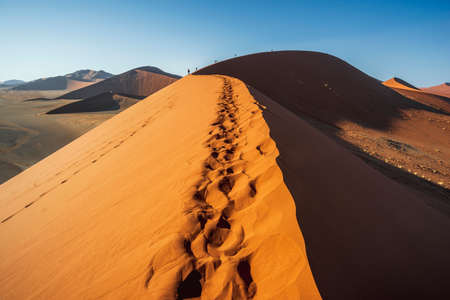 top edge of red sand dune with distant human figures and leg traces in Sossusvlei, Namibiaの写真素材