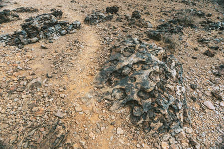 volcanic ground path in desert of Namibiaの写真素材