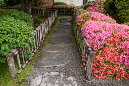 straight stone path with wooden fence aside in Japanese Zen gardenの写真素材