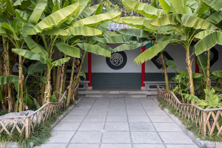 green plants and empty pathway in Chinese gardenの写真素材