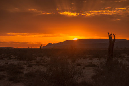 dawn desert landscape from Namibiaの写真素材