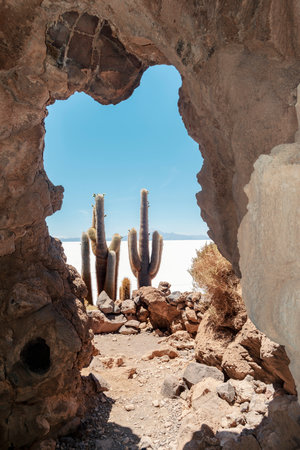 view from natural volcanic cave to giant cactuses at Uyuni Salt flats in Boliviaの写真素材