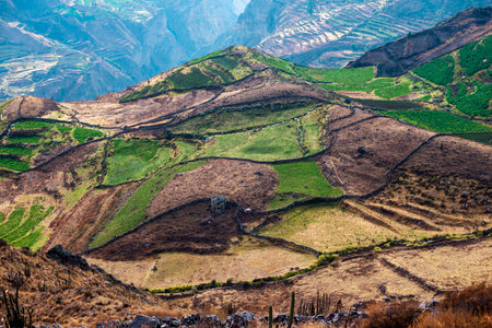 mountain slope with many terraced fields by morning in Peru