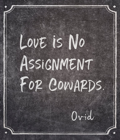 Love is no assignment for cowards- ancient Roman philosopher and poet Ovid quote written on framed chalkboardの写真素材