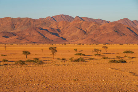 scenic desert landscape with mountains on background in Namibiaの写真素材