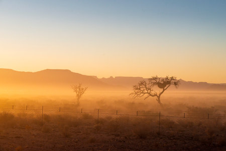 foggy morning hours in desert of Namibiaの写真素材