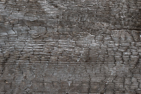 detailed texture of burned wooden plankの写真素材