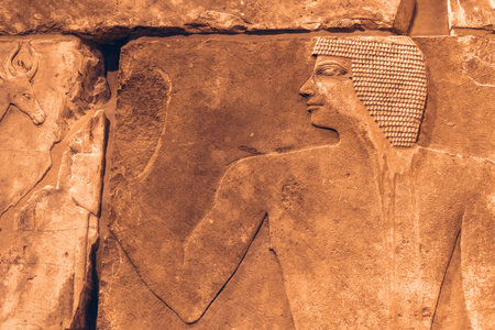 human figure carving on sandstine wall from ancient Egyptの写真素材