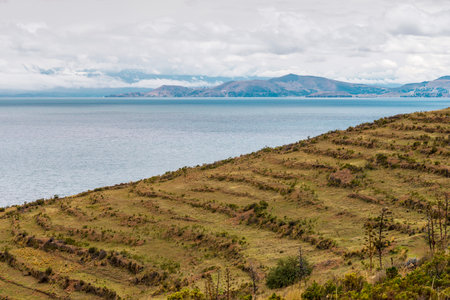 traditional terraced fields on shore of Lake Titicaca in Boliviaの写真素材