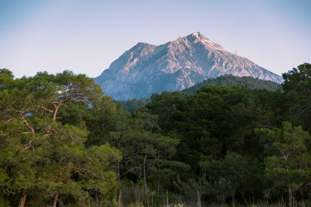 mount Tahtali or Olimpos behind Lycia pine forest by sunny morning in Antalya Province, Turkeyの写真素材