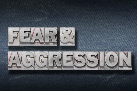 fear and aggression phrase made from metallic letterpress on dark jeans backgroundの写真素材