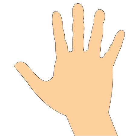 illustration human hand insulated on whiteのイラスト素材