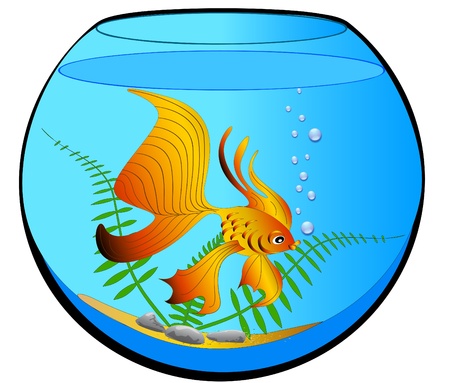  illustration aquarium with gold fish and algaeのイラスト素材