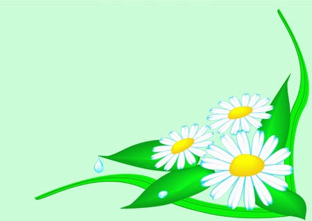  illustration background flowers and herb with dewdropのイラスト素材