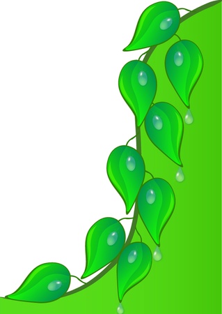  illustration background with green sheet and dewdropのイラスト素材