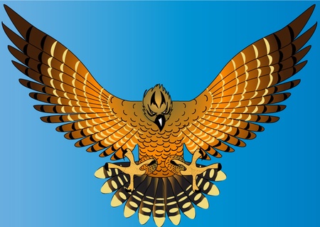 illustration flying powerful eagle on turn blue backgroundのイラスト素材