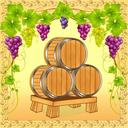 illustration wooden barrels with wine on background of the grapevineのイラスト素材