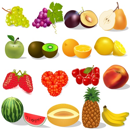 illustration set ripe fruit and berries on whiteのイラスト素材