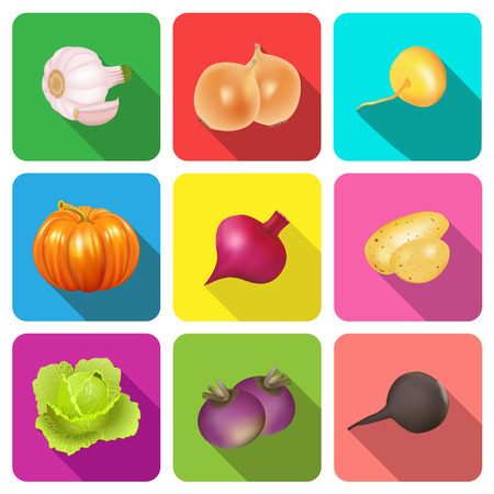 illustration set of icons on a theme vegetablesのイラスト素材