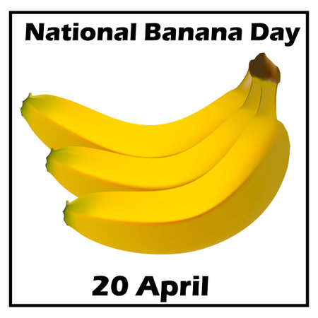 Illustration postcard National Banana Day April 20のイラスト素材