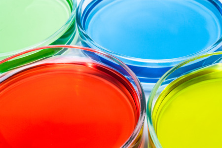 Set of Petri dishes with colored liquidの写真素材