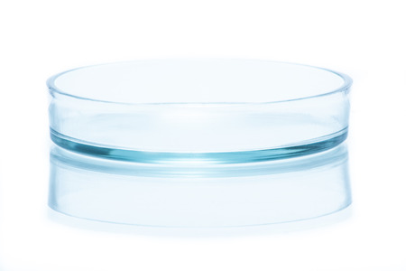 Bottom half of glass Petri dishの写真素材