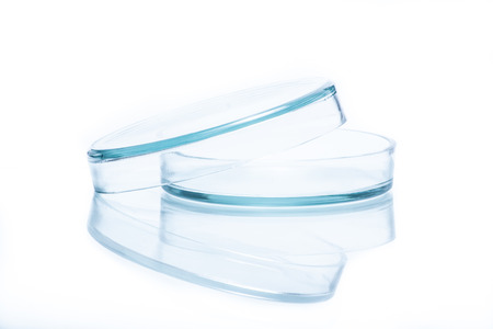 Glass Petri dishの写真素材