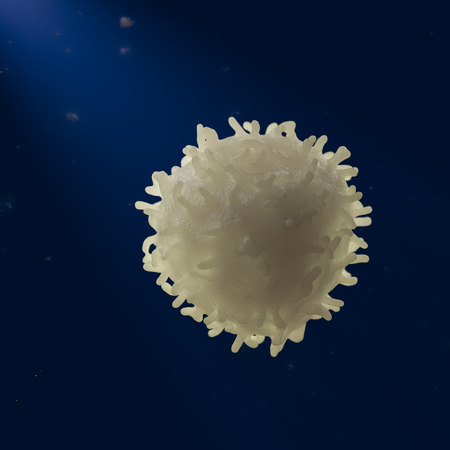 leukocyte 3d render