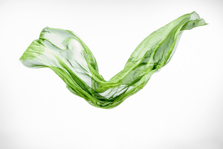 piece of green fabric flying, high speed studio shot, design elementの写真素材