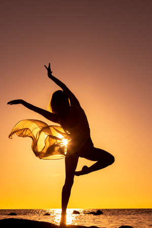 free happy woman silhouette at seasideの写真素材