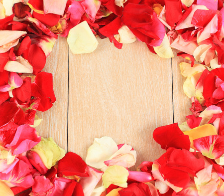 frame of beautiful petals of roses の写真素材