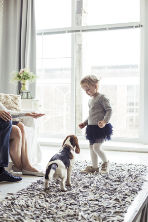 little girl playing with her dog in the spacious living roomの写真素材