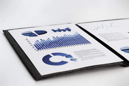 business report with the financial and marketing schedules in the working directory of the businessmanの写真素材