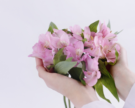 bouquet of flowers in female hands isolated on a light backgroundの写真素材
