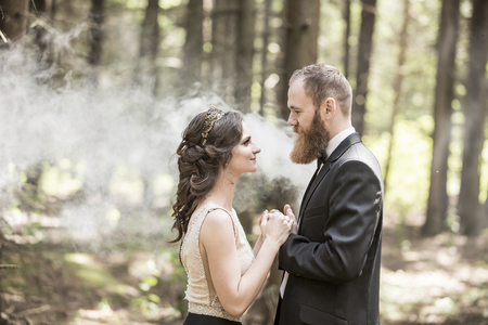 portrait of the bride and groom on the background of the Parkの写真素材