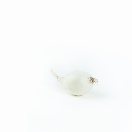white onion .isolated on a white backgroundの写真素材