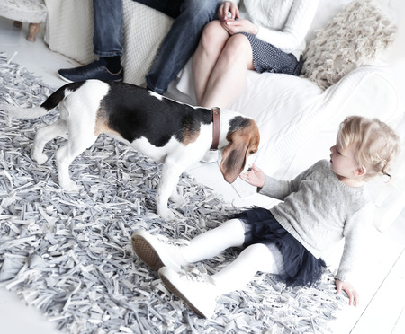 parents with a young daughter and pet sitting on the couch.の写真素材