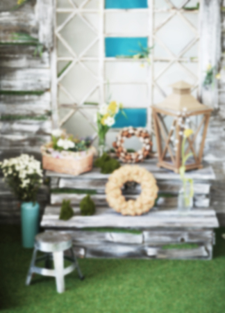 arrangement of potted plants .photo with copy space in the blurの写真素材