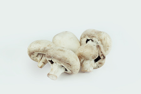 fresh mushrooms.isolated on a white background.photo with copy spaceの写真素材