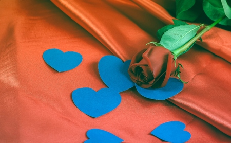 red rose and blue hearts on red backgroundの写真素材