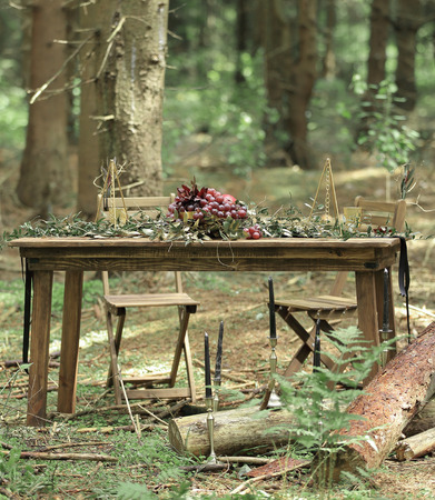 table for a festive picnic in the woods.holiday concept.の写真素材