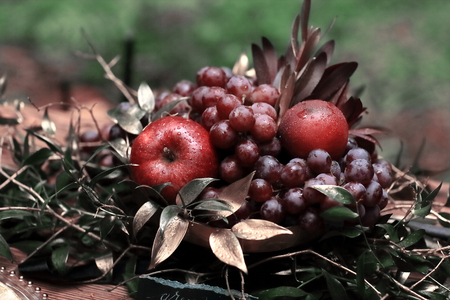 festive composition of fruit on the background of grass.の写真素材