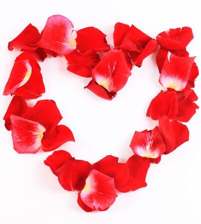 Beautiful heart of red rose petals isolated on whiteの写真素材