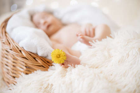 image of a dandelion flower on the leg of a newborn baby.の写真素材