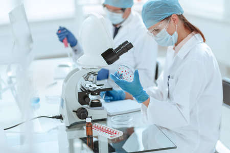 scientists investigating the development of bacteria in the laboratory .の写真素材