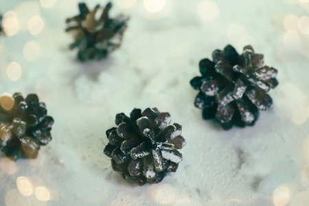 Christmas tree cones on bright festive backgroundの写真素材