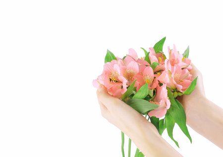 bouquet of flowers in female hands isolated on a light backgrouの写真素材